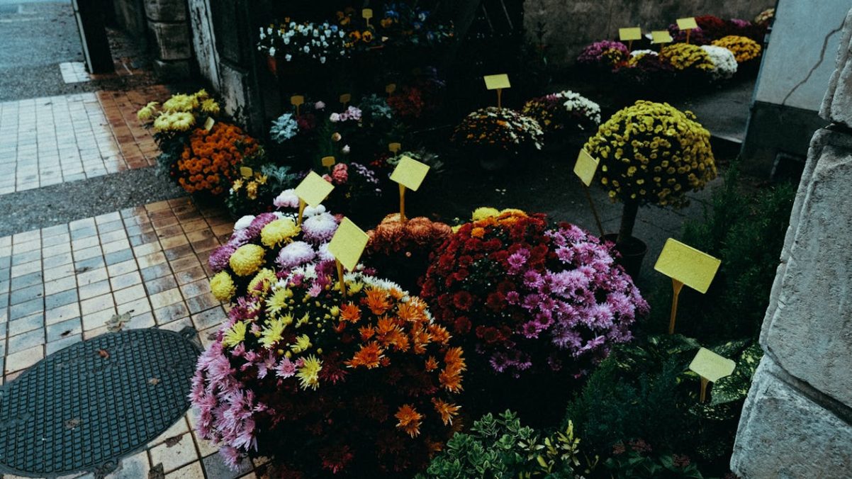 La signification cachée des fleurs funéraires : un guide pour les familles endeuillées
