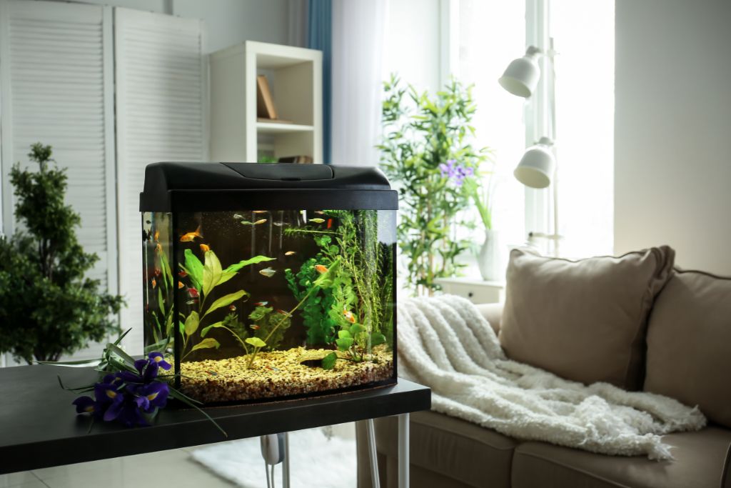 5 étapes essentielles pour analyser la qualité de l'eau de votre aquarium