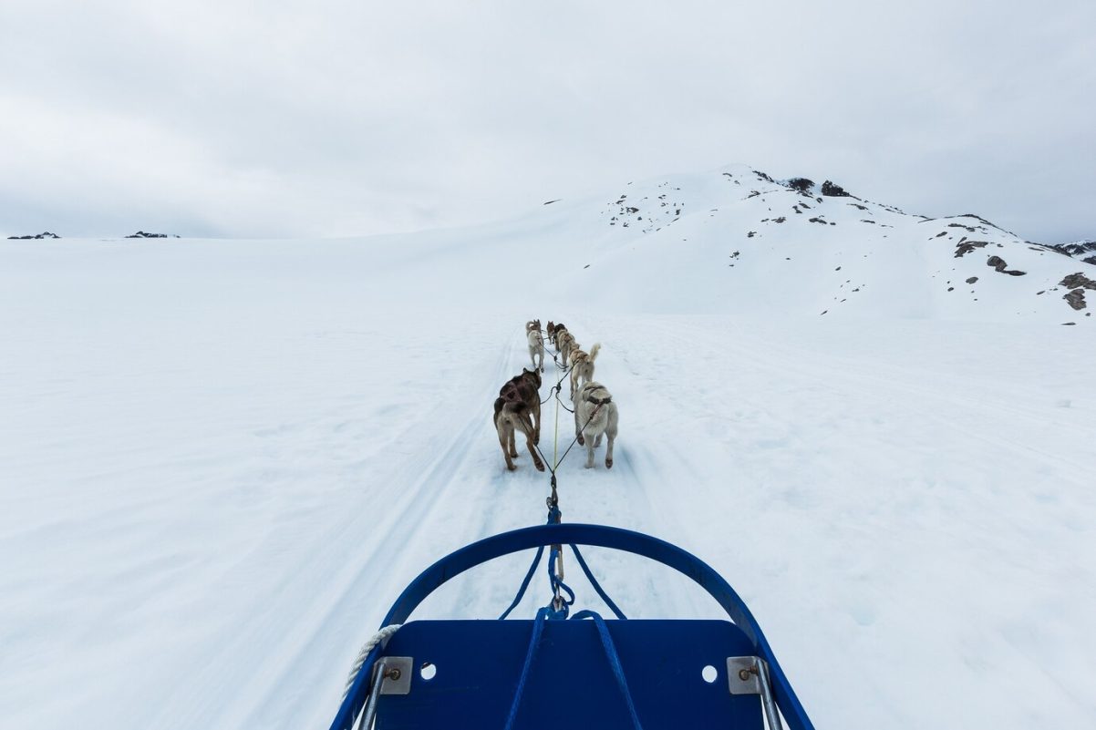5 meilleures destinations pour une balade mémorable en chien de traîneau